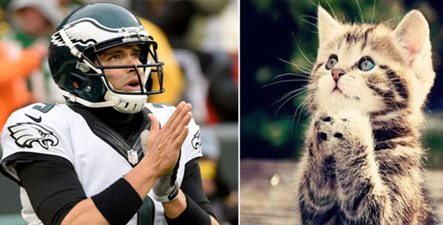 LOOK: Five cats who really, really want to be NFL stars