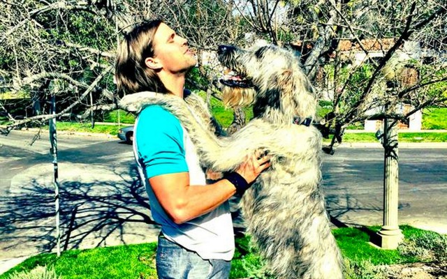 LOOK: Coby Fleener's dog is gigantic 