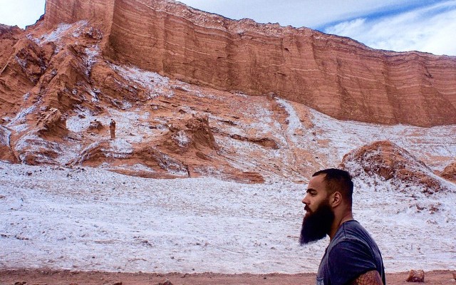 Detroit Lions linebacker Levy stands atop a plane