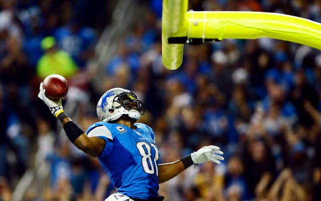 Calvin Johnson helped slam-dunk the Packers. (USATSI)