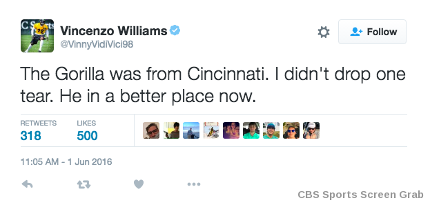 Steelers LB amps up Bengals rivalry with joke about dead Cincinnati gorilla  