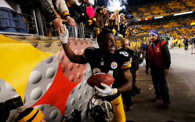 Antonio Brown helped lead Pittsburgh to the AFC North title. (Getty Images)