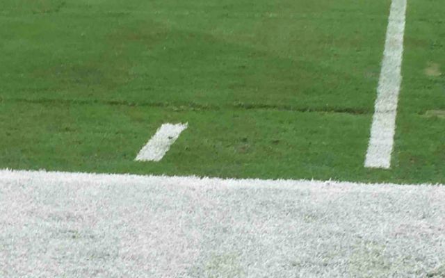 Texans Will Change Field Surface At NRG Stadium To Artificial Turf