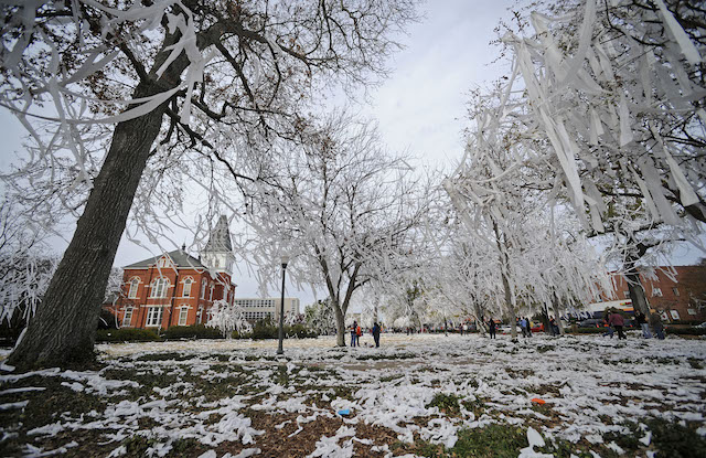 Harvey Updyke poisoned the trees at Toomer's Corner in 2010.