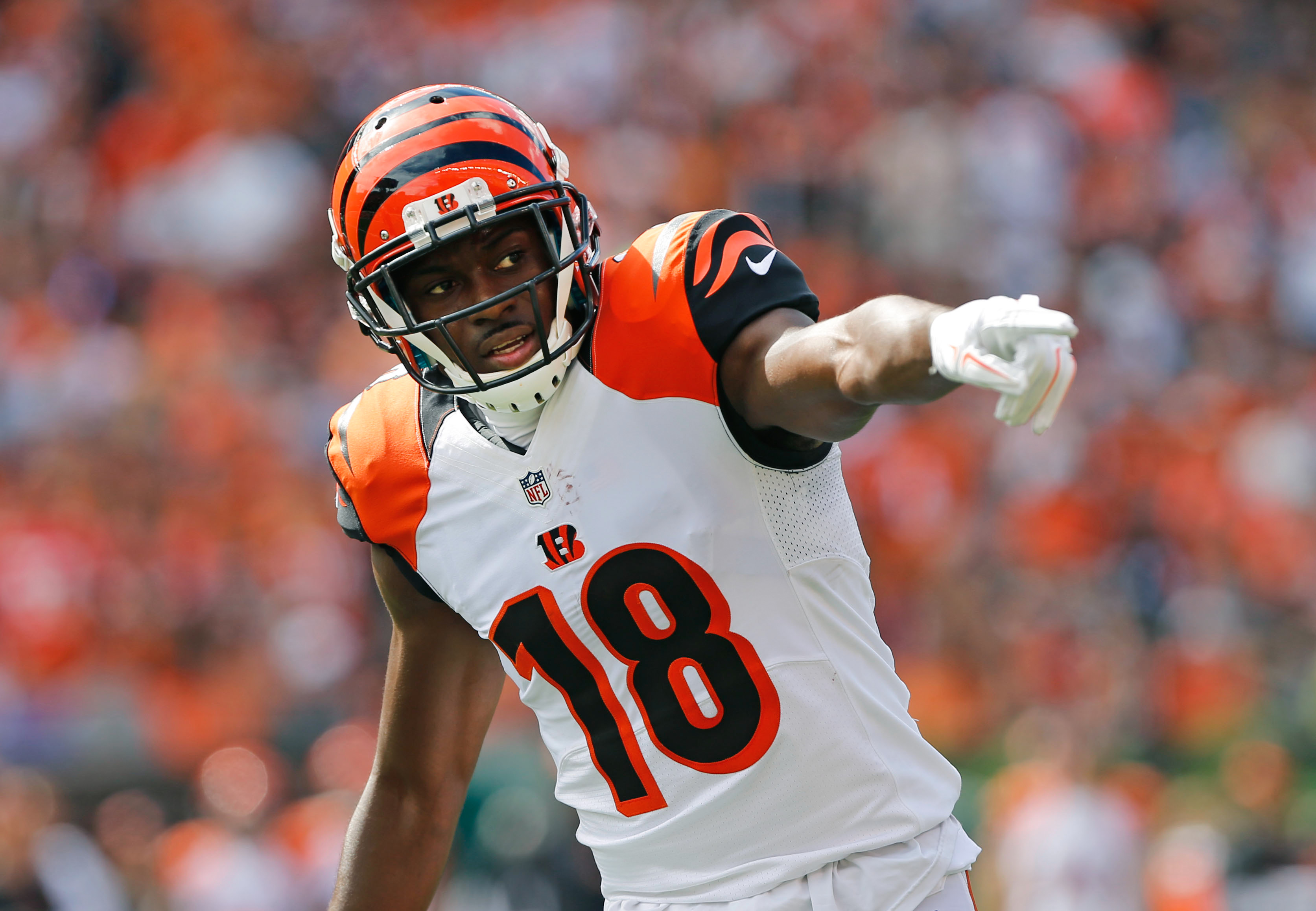 Image result for aj green 2018