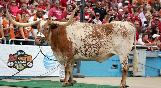 Bevo is always ready for Texas vs. Oklahoma. (USATSI)