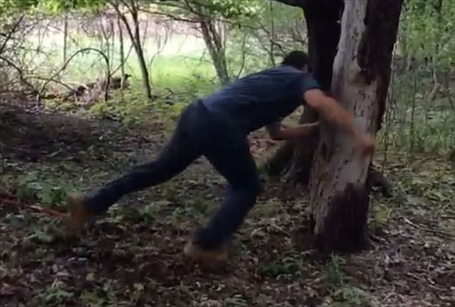 This confrontation between Anthony Zettel and a tree did not end well for the tree. (Instagram)