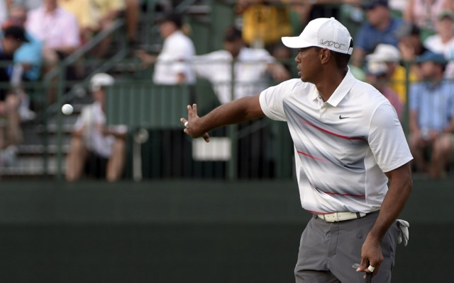 Tiger Woods loves the kid who doesn't know him. (USATSI)