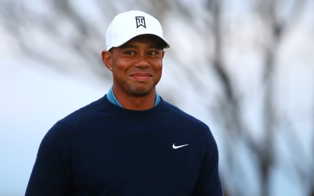 How are we feeling about this new biography, Tiger? (USATSI)