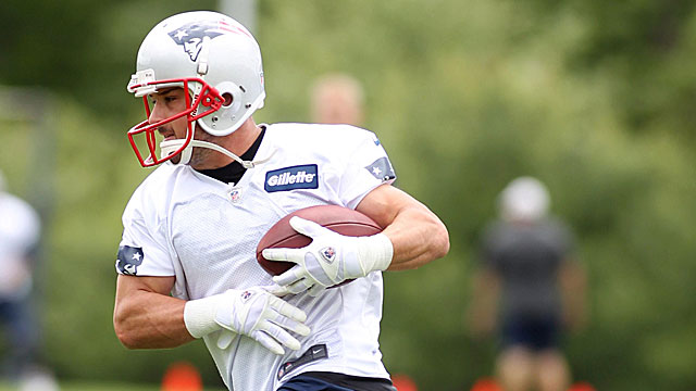 Former Rams standout WR Danny Amendola breaks in his new Pats gear. (USATSI)