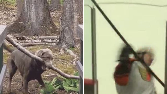 Just in case you needed a little laugh after a long weekend... (@MarcPDumont)