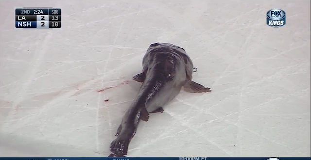 nhl fish