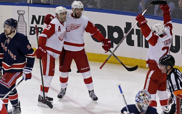 The Detroit Red Wings clinched their 25th straight playoff berth. (USATSI)