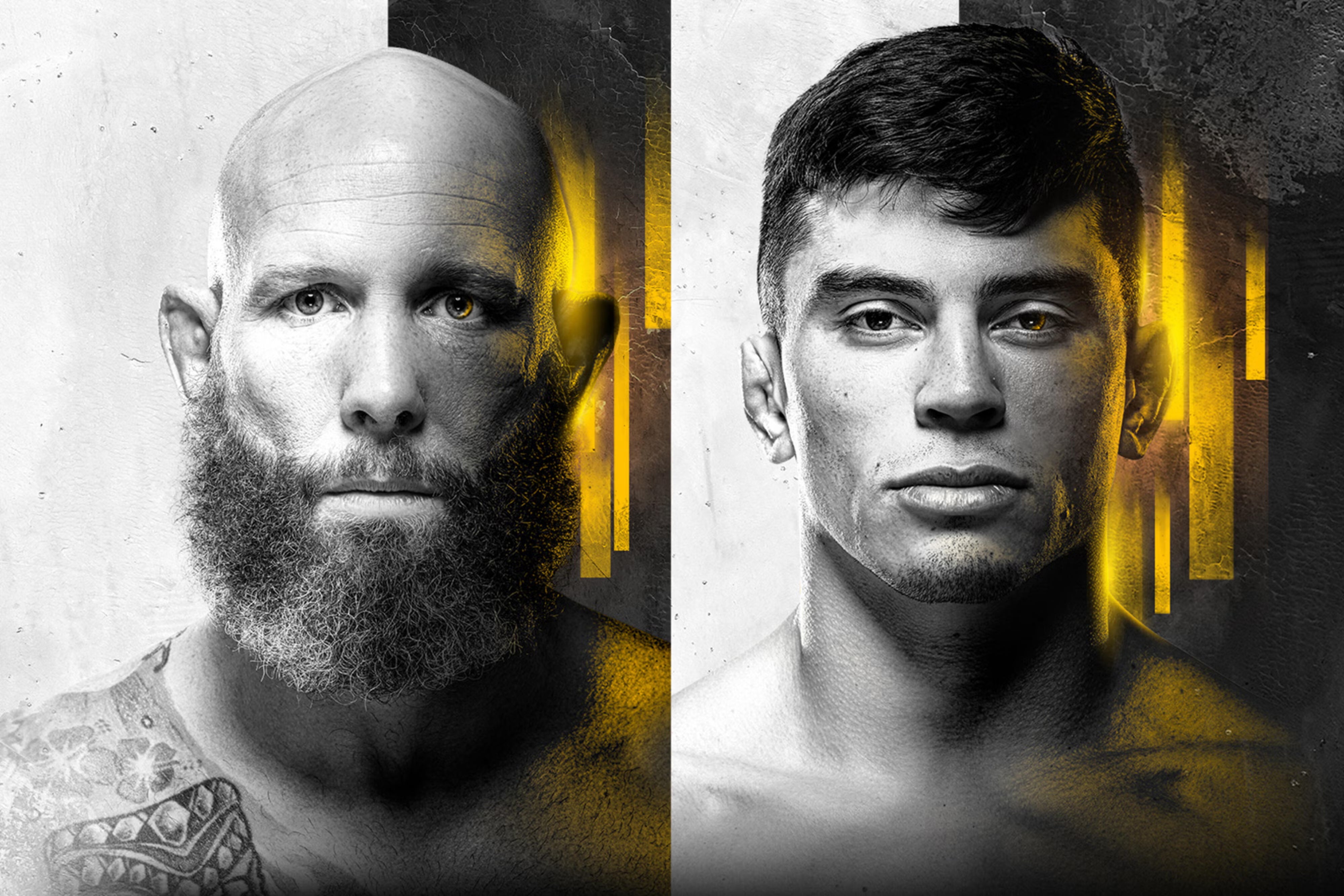 UFC Fight Night: Emmett vs. Vallejos