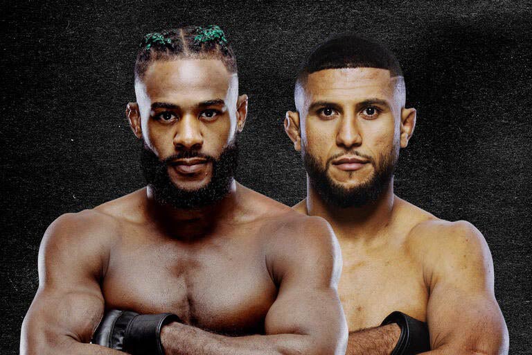 UFC Fight Night: Sterling vs. Zalal