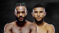 UFC Fight Night: Sterling vs. Zalal