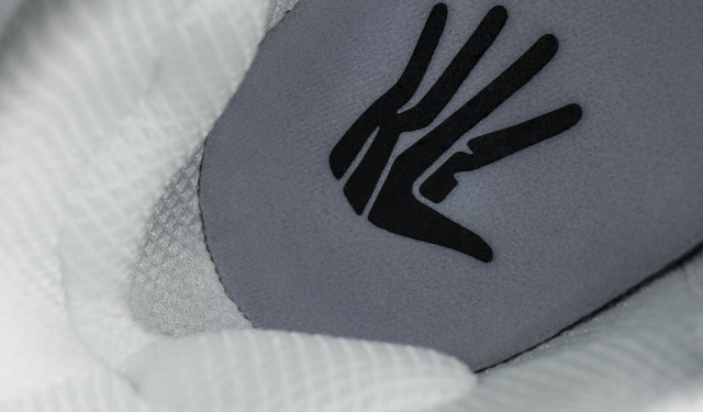PHOTOS: Kawhi Leonard's new Jordans feature giant hand logo - CBSSports.com