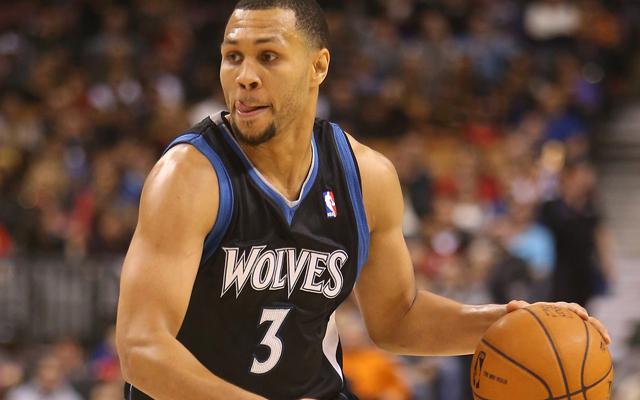 brandon roy timberwolves jersey