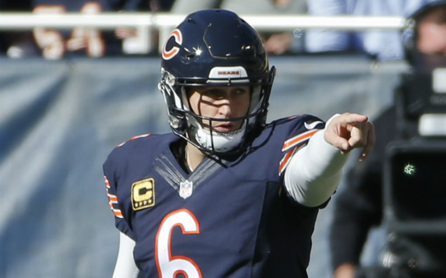 Jay Cutler has seen a big improvement in 2015. (USATSI)