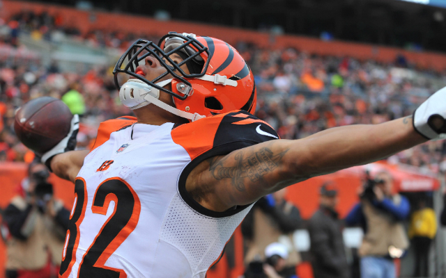 Will the Bengals emerge from a three-way battle for the No. 1 seed? (USATSI)