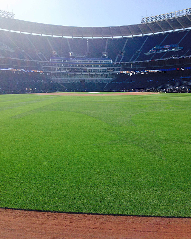 Standing Room Only Tickets at Kauffman Stadium 