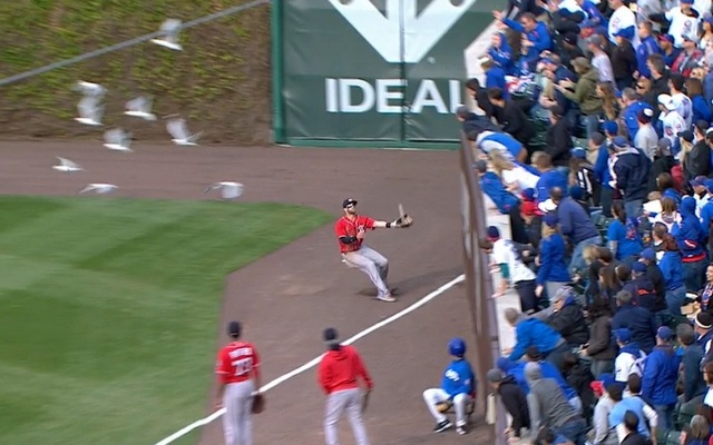 Bryce Harper's day of crashing into walls are over.