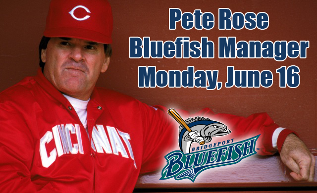 Bridgeport bluefish