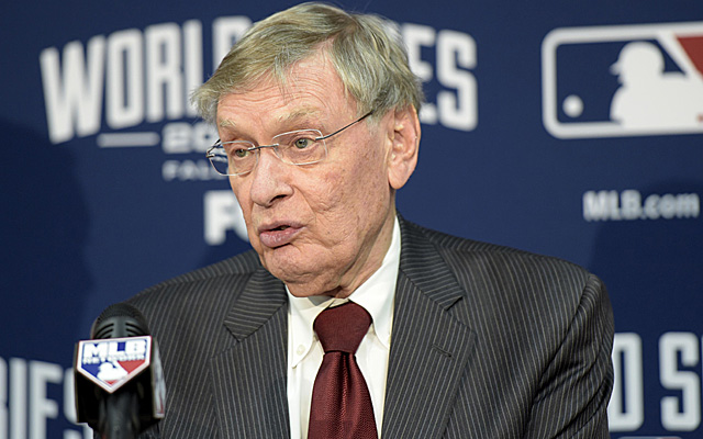 Bud selig store