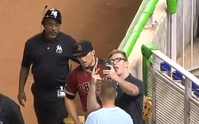 Fan takes selfie after outfielder Brandon Drury dives into stands for catch