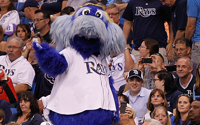 Rays Mascots  Tampa Bay Rays