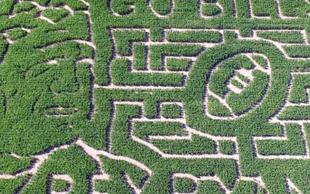 LOOK: This Rex Ryan-shaped corn maze is pretty magical - CBSSports.com