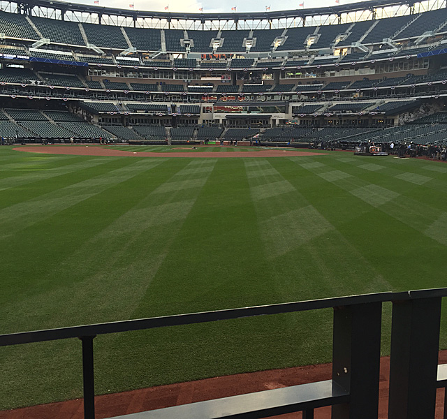 2015 World Series View of the Game: Party City Deck 