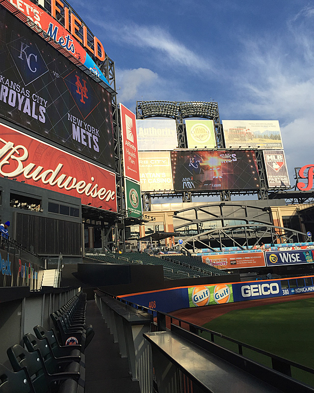 2015 World Series View of the Game: Party City Deck 