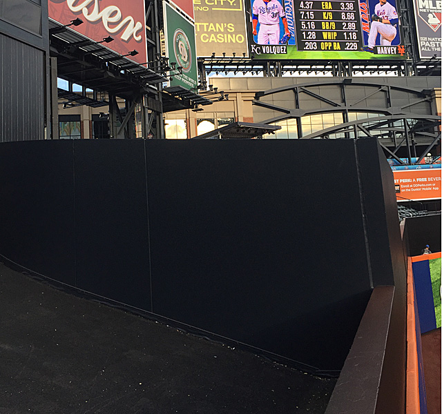 2015 World Series View of the Game: Party City Deck 