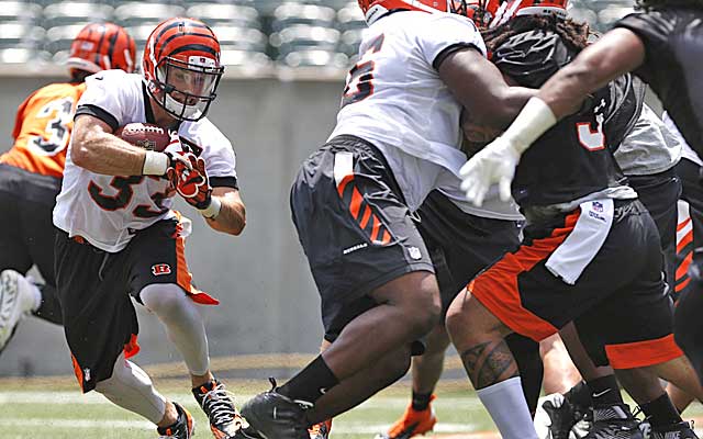 Rex Burkhead has turned heads in Bengals camp. (USATSI)