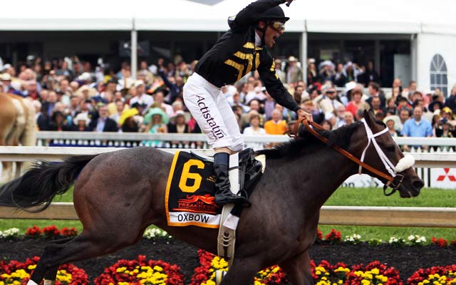 Oxbow entered the Preakness with the second longest odds to win at 15-1. (USATSI)
