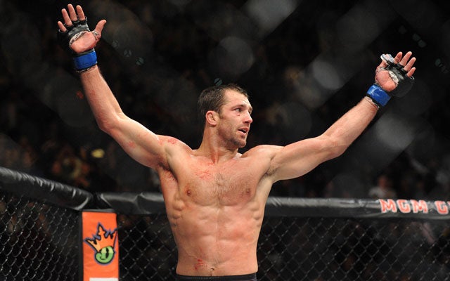 Luke Rockhold really wants a rematch with Vitor Belfort.  (USATSI)